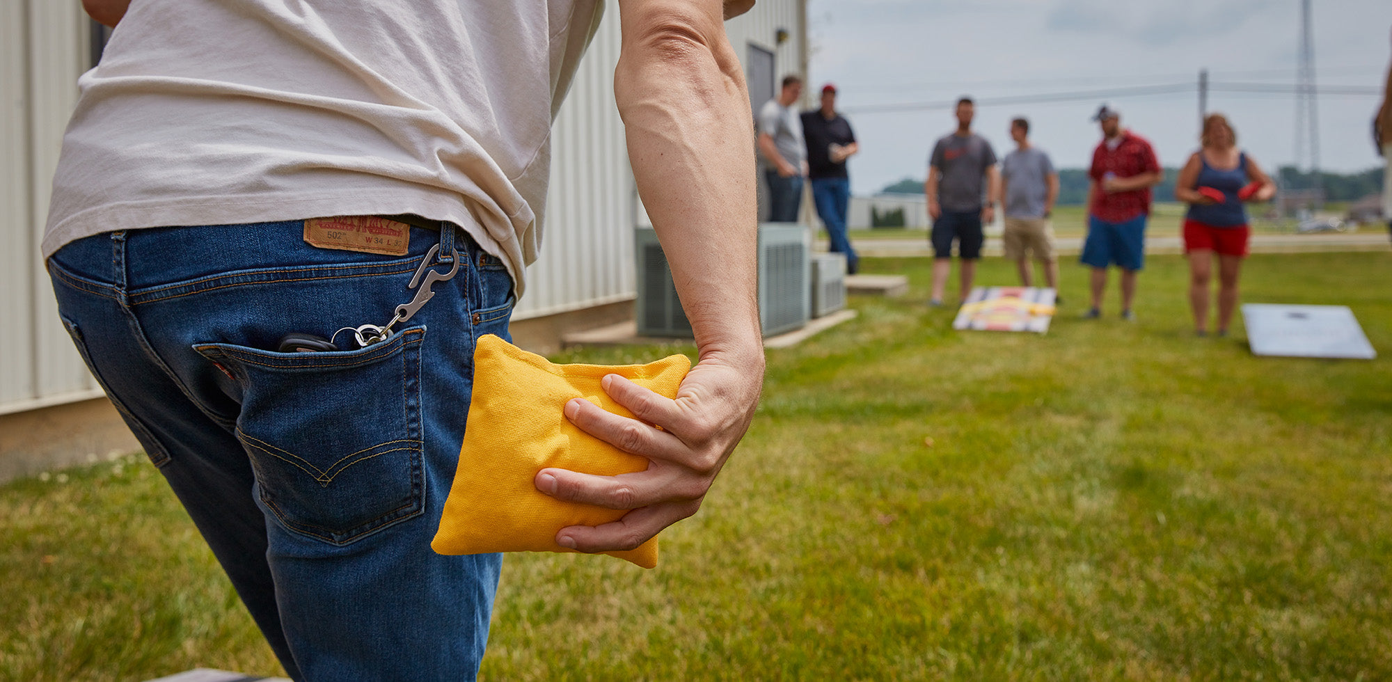 Daily 66x Cornhole Bags