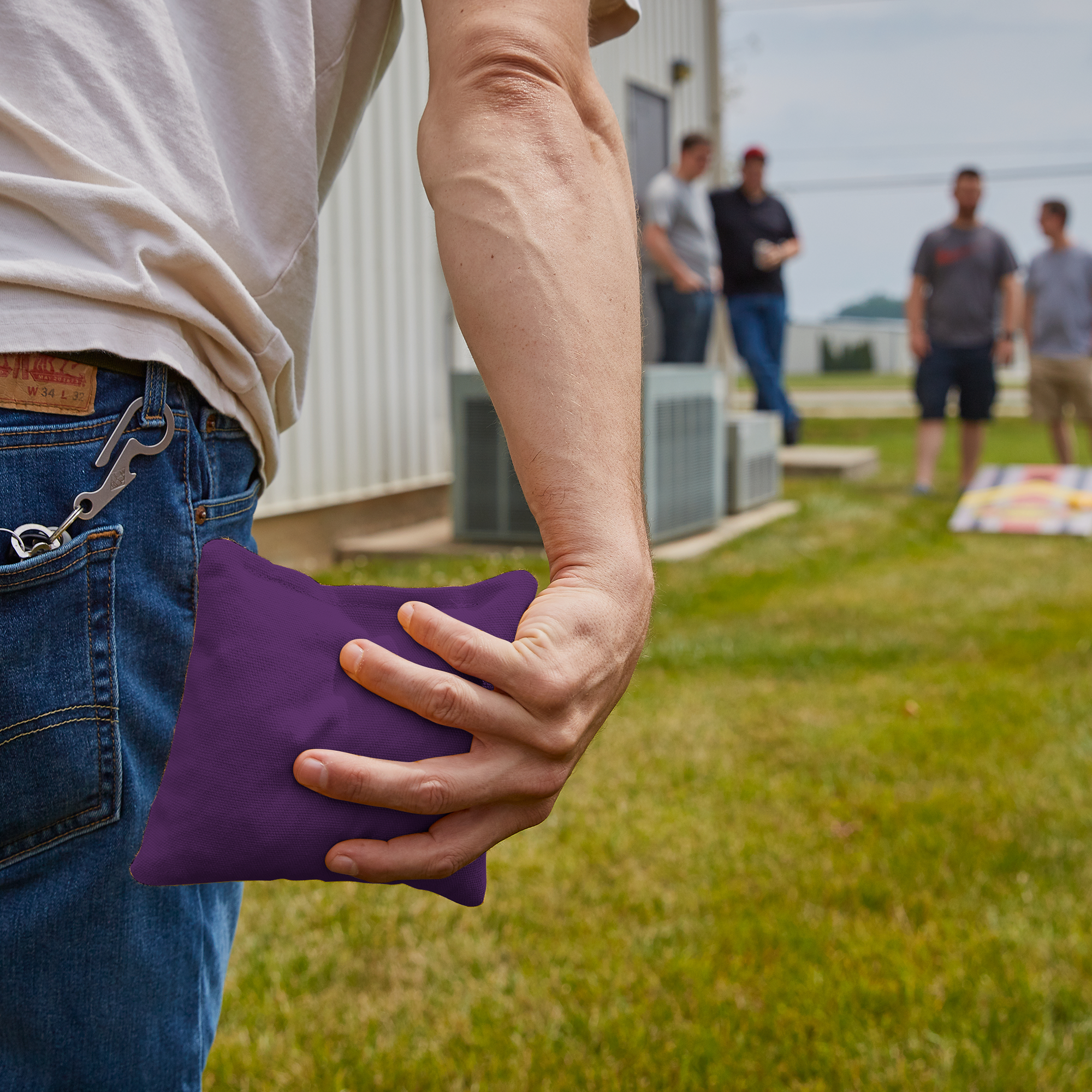 Purple Daily 66x Cornhole Bags